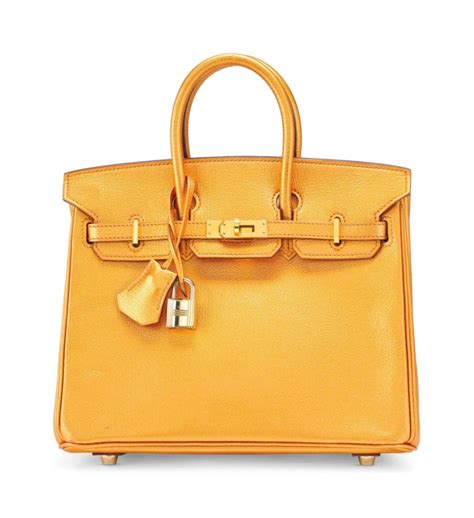 hermes bronze birkin 25|birkin 25 bag price.